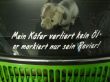 Schriftzug auch mit *mein Auto* vorhanden, 5,- €